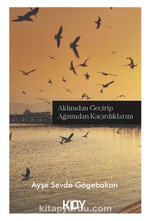 Aklımdan Geçirip Ağzımdan Kaçırdıklarım - Ayşe Sevde Göğebakan