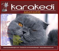 Karakedi Kültür Sanat Edebiyat Dergisi Sayı:44 Yıl:2020