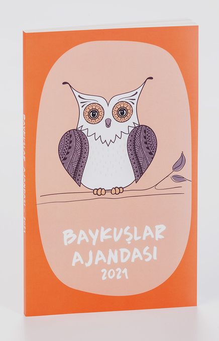 2021 Baykuşlar Ajandası (Küçük Boy)