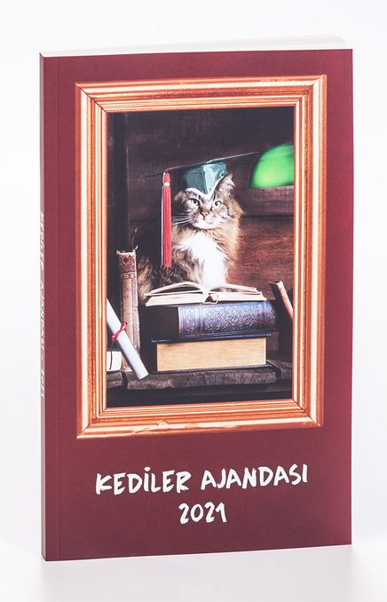 2021 Kediler Ajandası (Küçük Boy)