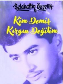Kim Demiş Kırgın Değilim
