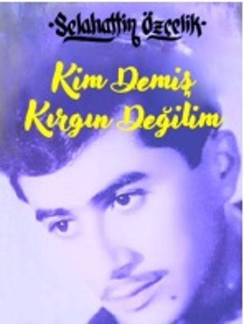 Kim Demiş Kırgın Değilim