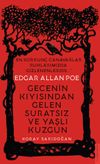 Edgar Allan Poe / Gecenin Kıyısından Gelen Suratsız ve Yaşlı Kuzgun