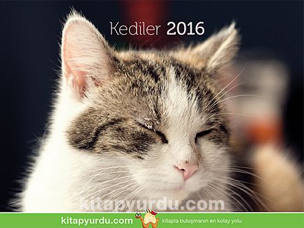 2016 Kitapyurdu Masa Takvimi (Kediler)