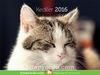 2016 Kitapyurdu Masa Takvimi (Kediler)
