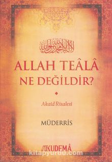Allah Teala Ne Değildir? - Müderris
