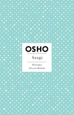 Sezgi & Mantığın Ötesini Bilmek