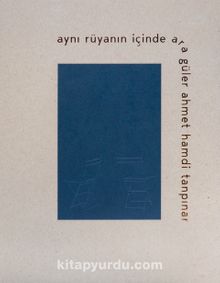 Aynı Rüyanın İçinde & Ara Güler - Ahmet Hamdi Tanpınar - Bilinmeyen Yazar