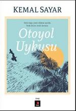 Otoyol Uykusu