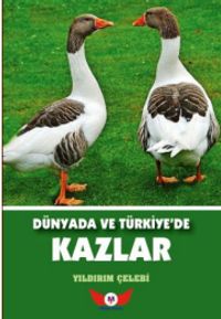 Dünyada ve Türkiye'de Kazlar
