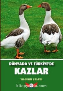 Dünyada ve Türkiye'de Kazlar - Yıldırım Çelebi