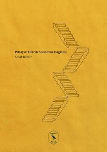 Bir Patlayıcı Olarak Selülozun Bağlamı 