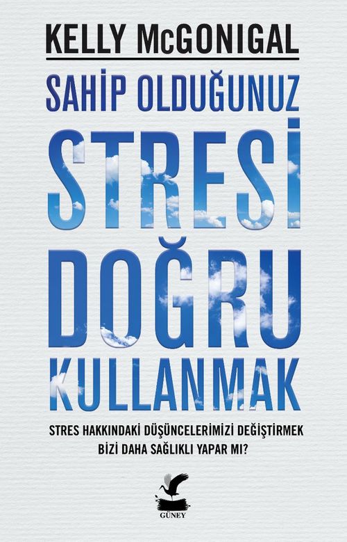 Sahip Olduğunuz Stresi Doğru Kullanmak