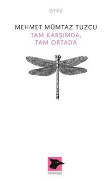 Tam Karşıda , Tam Ortada