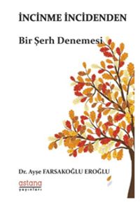 İncinme İncidenden