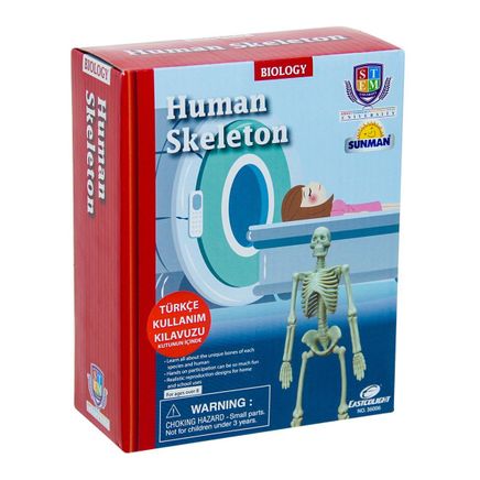 Eğitici Oyuncak Bilim Seti İnsan İskeleti(82063)