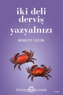 İki Deli Derviş - Yazyalnızı - Behçet Çelik