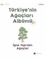 Türkiye'nin Ağaçları Albümü İğne Yapraklı Ağaçlar