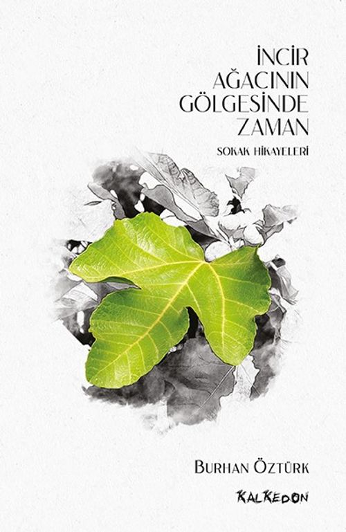 İncir Ağacı Gölgesinde Zaman & Sokak Hikayeleri