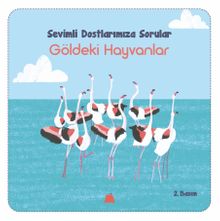 Göldeki Hayvanlar / Sevimli Dostlarımıza Sorular