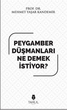 Peygamber Düşmanları Ne Demek İstiyor? - Prof. Dr. Mehmet Yaşar Kandemir