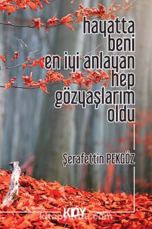 Hayatta Beni En İyi Anlayan Hep Gözyaşlarım Oldu - Şerafettin Pekgöz