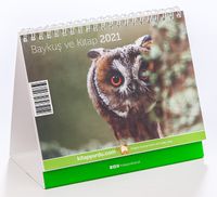2021 Kitapyurdu Masa Takvimi (Baykuş ve Kitap)