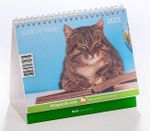 2021 Masa Takvimi (Kedi ve Kitap)