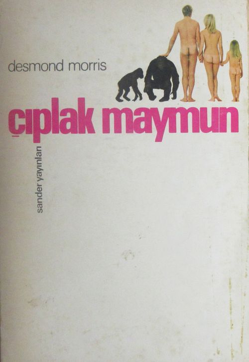 Çıplak Maymun (1-E-54)