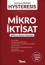 Hysteresis Mikro İktisat