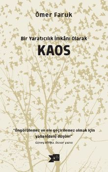 Bir Yaratıcılık İmkanı Olarak Kaos    
