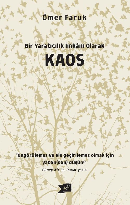 Bir Yaratıcılık İmkanı Olarak Kaos    