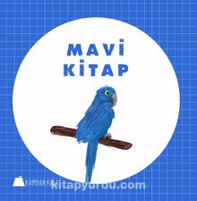 Mavi Kitap - Işıl Erverdi