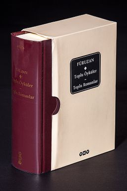 Toplu Öyküler-Toplu Romanlar / Füruzan