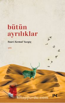 Bütün Ayrılıklar - Suavi Kemal Yazgıç