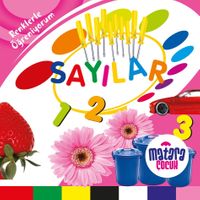 Sayılar (Renklerle Öğreniyorum)