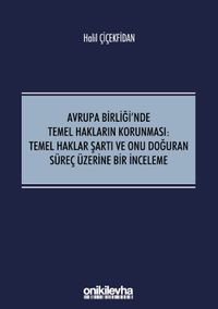 Avrupa Birliği'nde Temel Hakların Korunması:Temel Haklar Şartı ve Onu Doğuran Süreç Üzerine Bir İnceleme