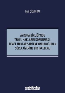 Avrupa Birliği'nde Temel Hakların Korunması:Temel Haklar Şartı ve Onu Doğuran Süreç Üzerine Bir İnceleme