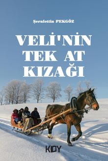 Veli'nin Tek At Kızağı