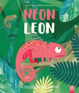 Neon Leon Britta Teckentrup Kitapyurdu Com