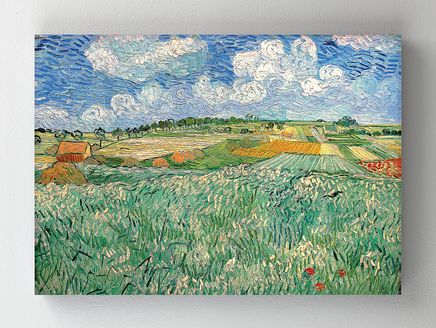 Full Frame Rulo Kanvas - Vincent van Gogh - Auvers'te Çayırlık (FF-KT160)
