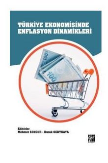Türkiye Ekonomisinde Enflasyon Dinamikleri - Mehmet Sungur