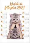 2021 Takvimli Poster - Kediler ve Kitaplar - Kitap Ev