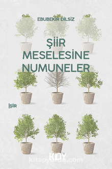 Şiir Meselesine Numuneler - Ebubekir Dilsiz