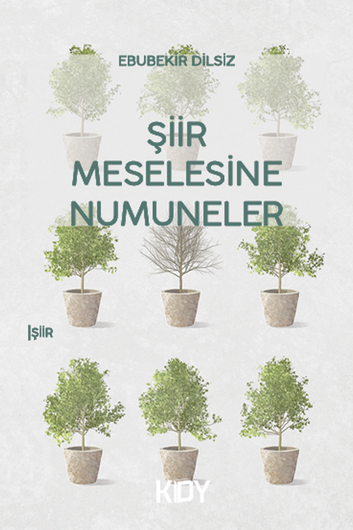 Şiir Meselesine Numuneler 