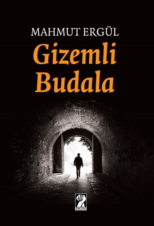 Gizemli Budala