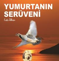 Yumurtanın Serüveni