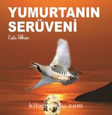 Yumurtanın Serüveni - Esila Tekkeşin