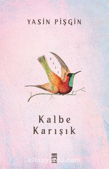 Kalbe Karışık - Yasin Pişgin