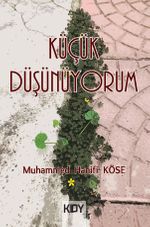 Küçük Düşünüyorum 